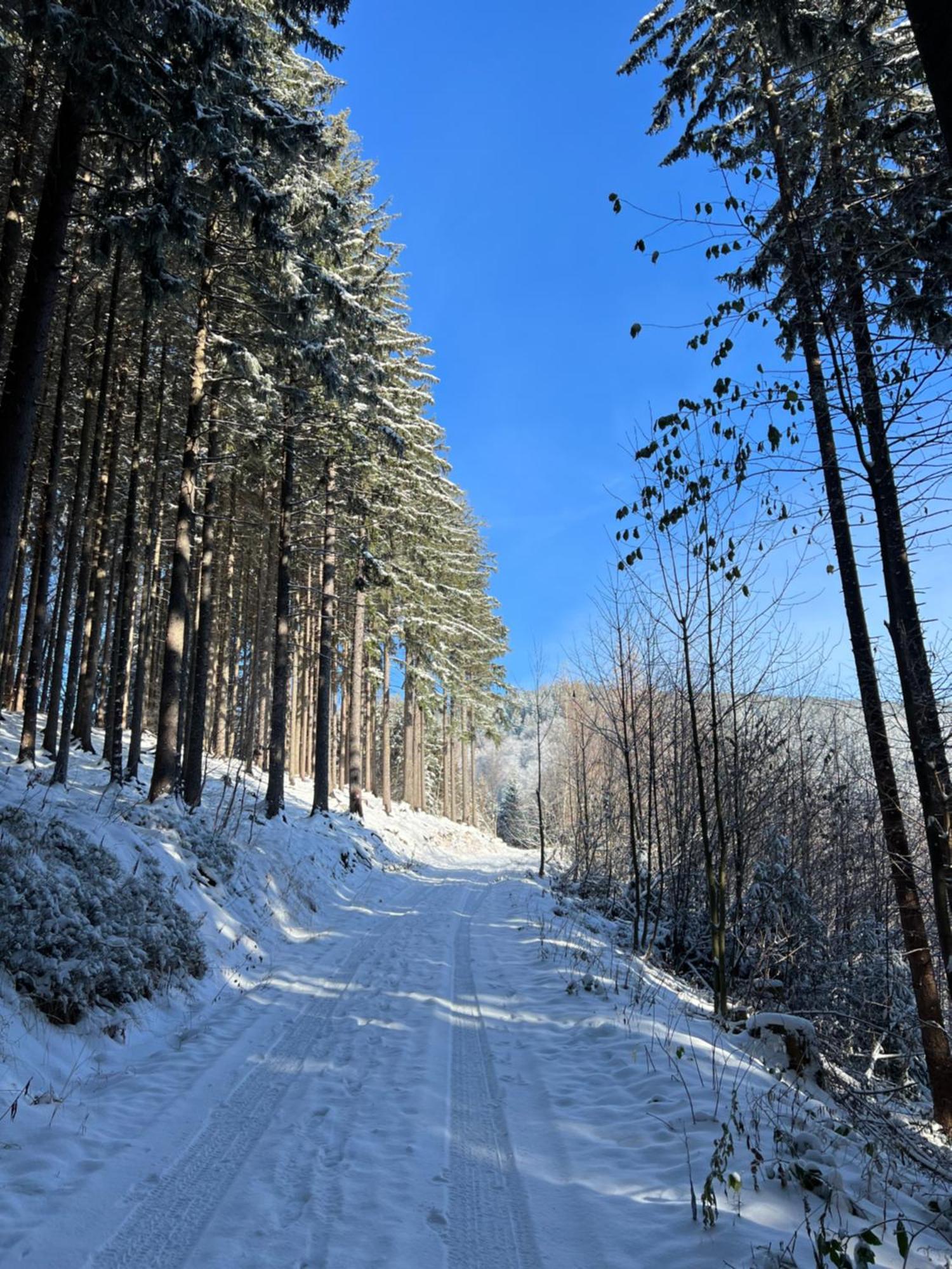 Pod Lysou Chalet