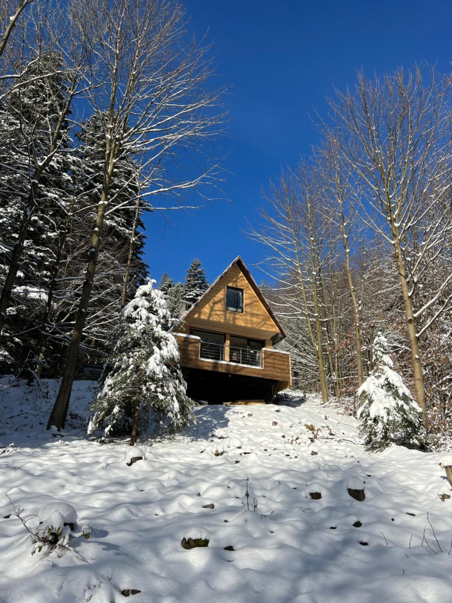 Pod Lysou Chalet